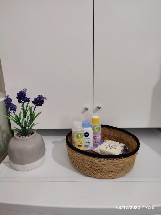 Bolo Guesthouse Bologna Luaran gambar